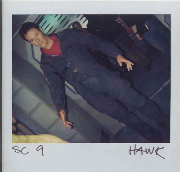 File:Hawk-3.jpg
