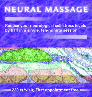 Handbook Art neural massage banner.png