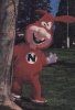 noid.jpg