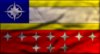 Confed Flag.jpg