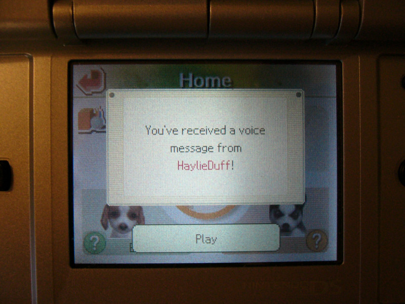 nintendogs1.jpg