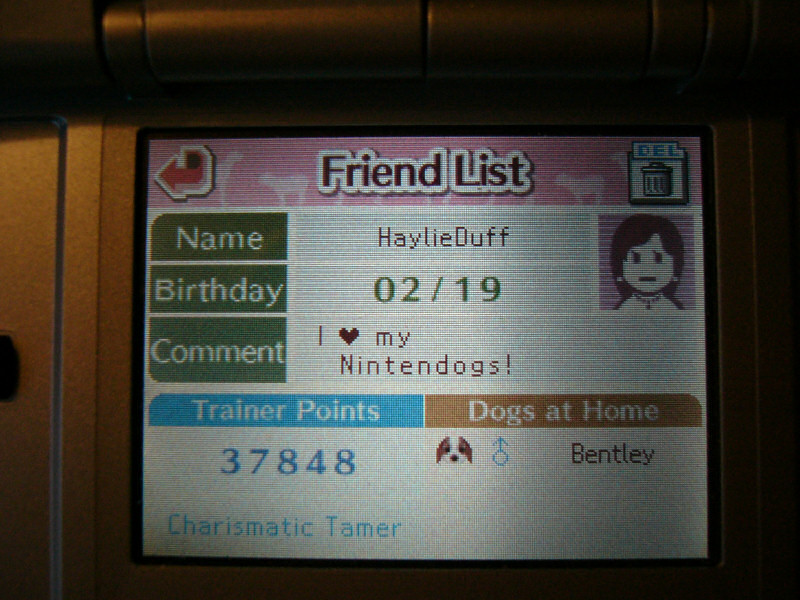 nintendogs2.jpg