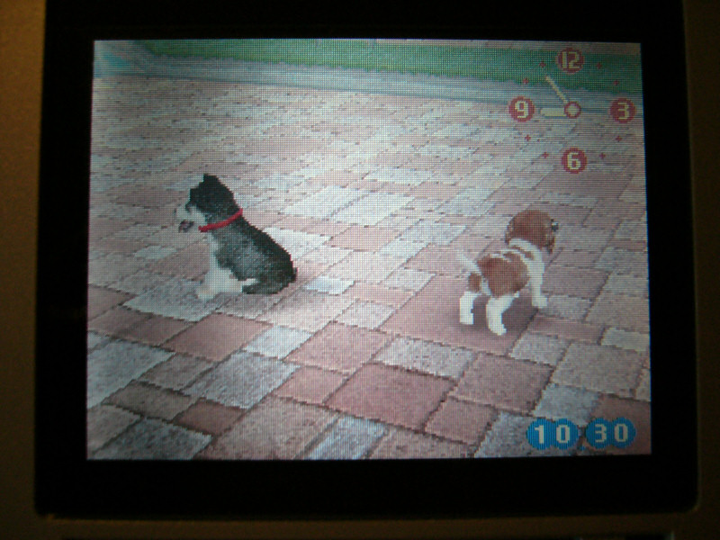 nintendogs3.jpg