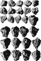 WC2DEMO OBJECTS ASTEROID.png